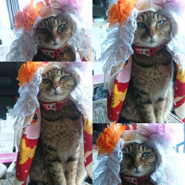 Ca558f90 d5d4 4eee b38a 8128820924a1 1762298003458