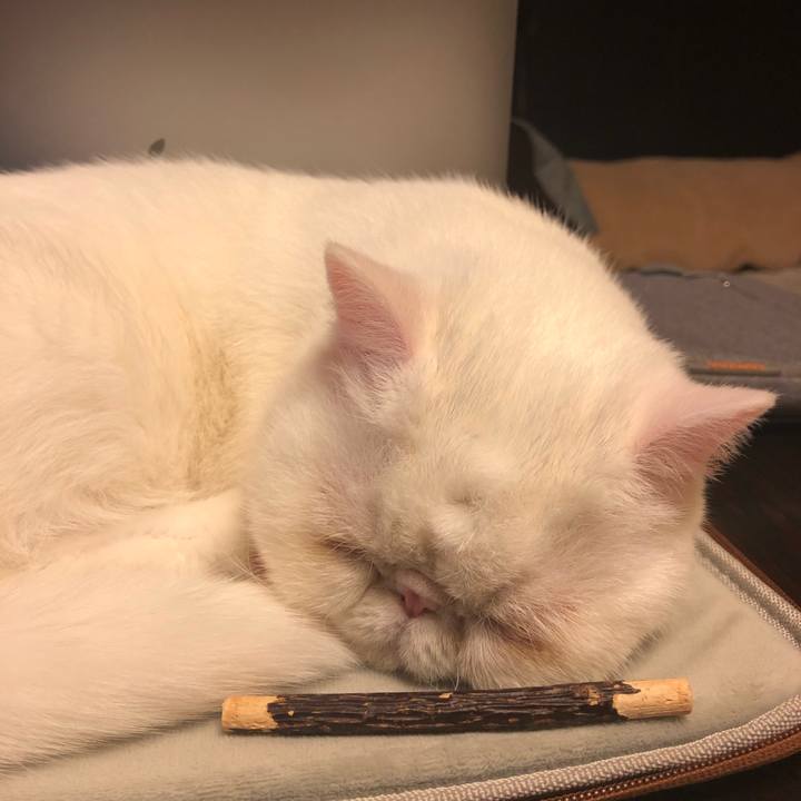 Ca55b744 8fa7 4528 960a 91c3d0ea6f02 1577965643194