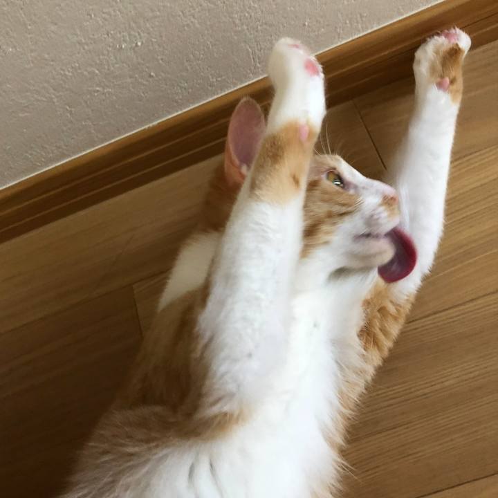 Ca55b915 3bef 471e b8d5 84a31ed8eaf9 1759569196012