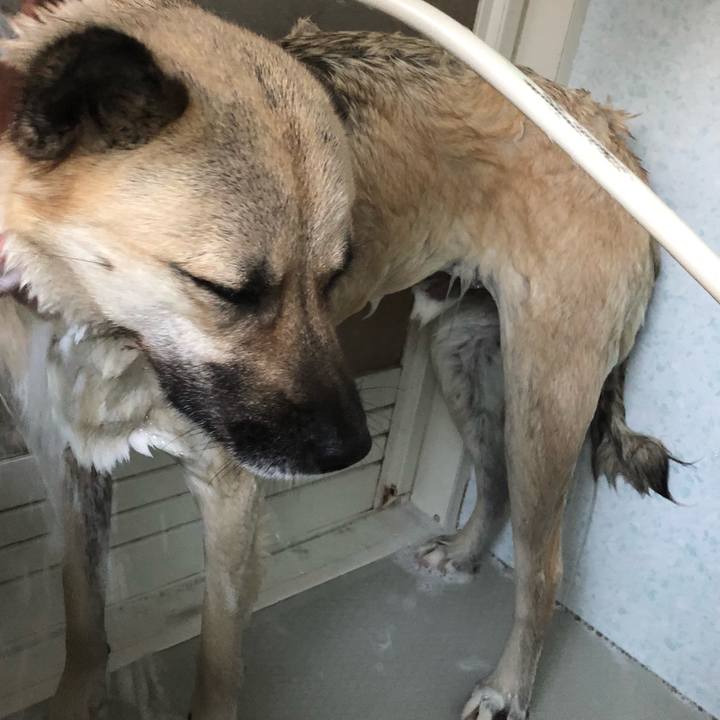 Ca55bc49 5035 44a8 b6f2 b44cf7b19193 1527941747995