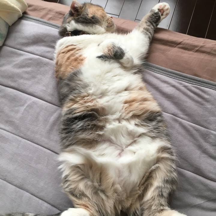 Ca5617c6 7d42 4c06 9f3b 88394b431c95 1547961692981