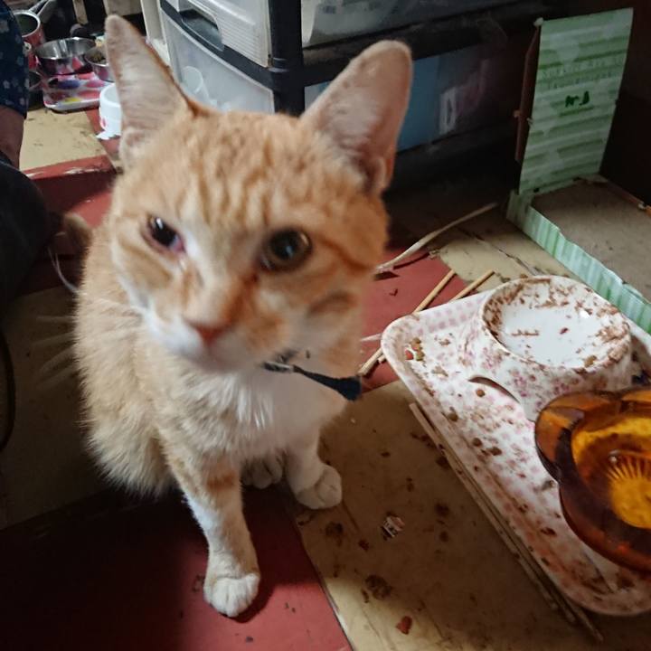 Ca564faf cc10 4d7f 81ee 045e5f47677e 1558296291625