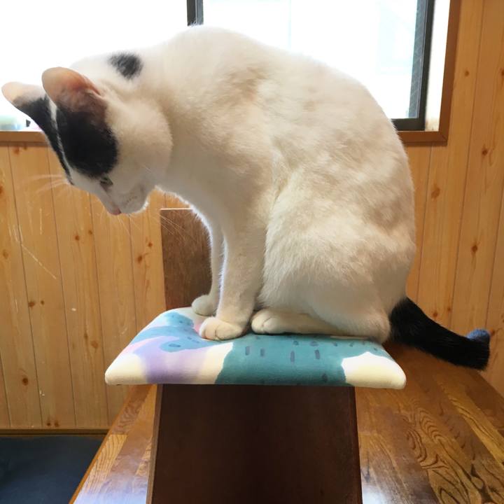 Ca56954d ee5b 4c00 a68f f4776f8eaf0b 1534263473271