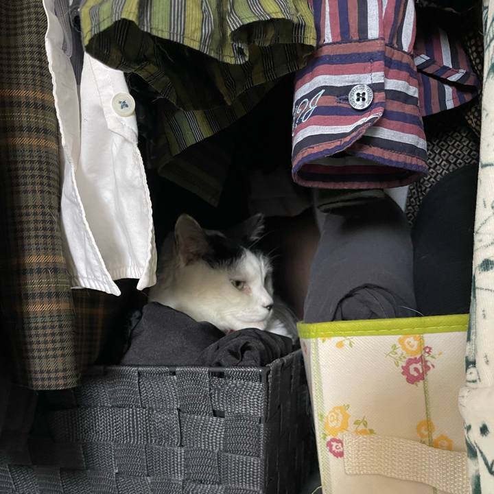 Ca56a121 7d4a 4167 9264 a4b2855b8151 1733628411844