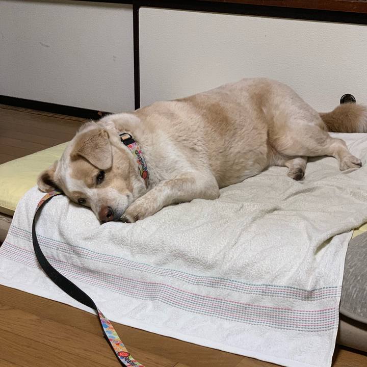 Ca56c001 5385 4cf0 b6ae e808b14aed98 1549110319012