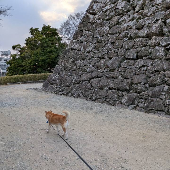 Ca56d63b c055 4ba4 8fde 355d9b93c294 1770373090689