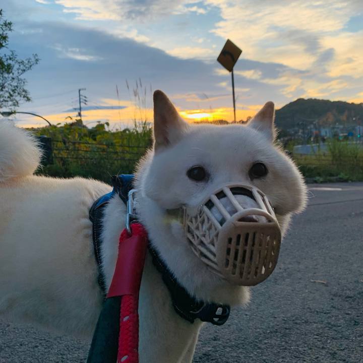 Ca56e167 b19b 4604 830a 411a701faffc 1662411448561