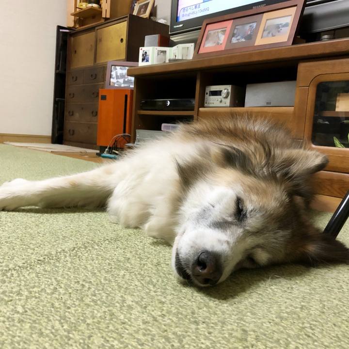 Ca570f96 bfb3 41e9 b52d 13bb895cb3d1 1516804401765