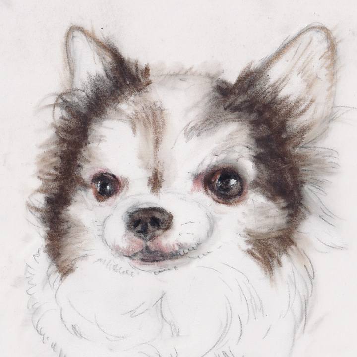 Ca57360a 476d 4120 a4b6 160ec552d201 1745902337055