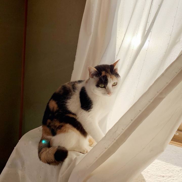 Ca5741b9 996b 4f3d bc57 adeac59384da 1544665831731