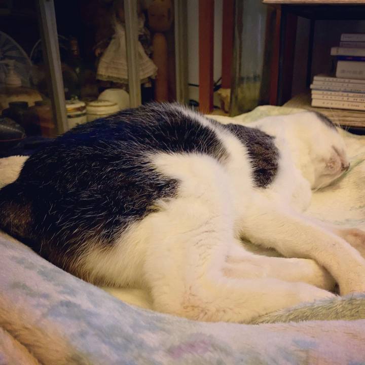 Ca5775e1 8be4 4790 b512 b44d1256fd7c 1612017486335