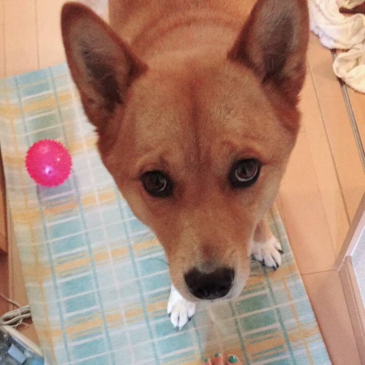 Ca579f4e cb04 4a3c 9d9f 6f580e0f2aad 1526389115798