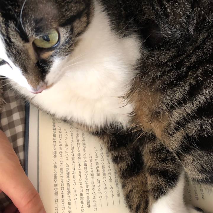 Ca57b92d 5698 4496 a6f6 1076a90e9628 1517891177902