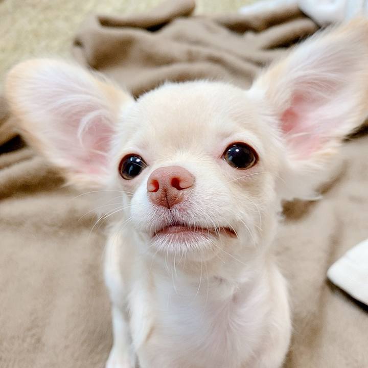 Ca57c399 d7f1 405b 9025 e0a41e2aac9a 1593915624923