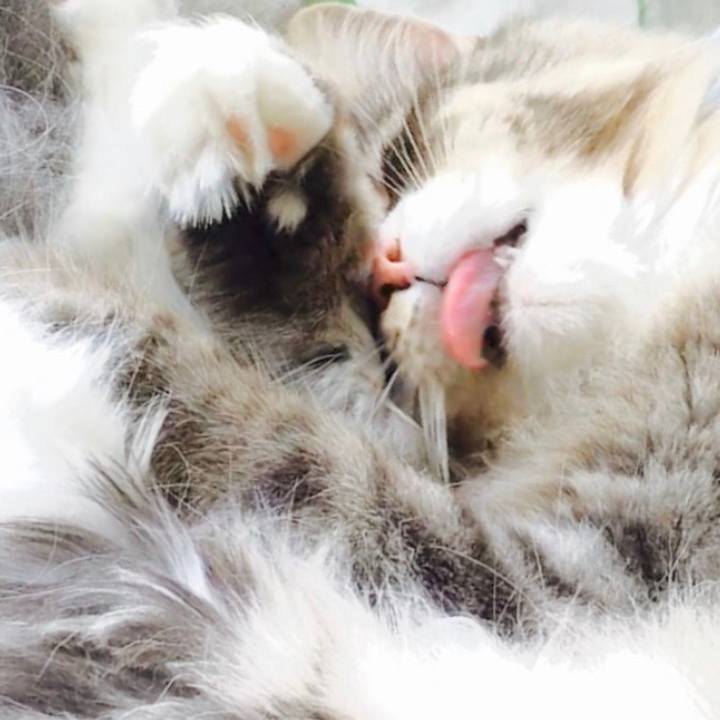 Ca57cb19 d478 4df1 8fc7 eb621a4dc5dc 1603768986553