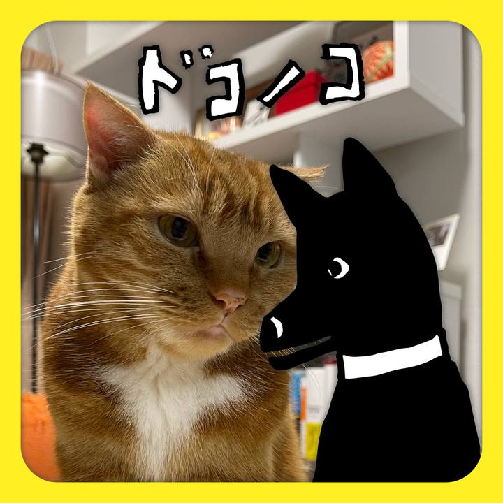 Ca586535 63dd 40b4 932c 20aa5a4bee08 1622864498489