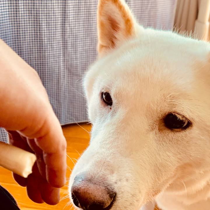 Ca58c3b1 b47b 4af1 8d77 a7afb4a57202 1565777209533