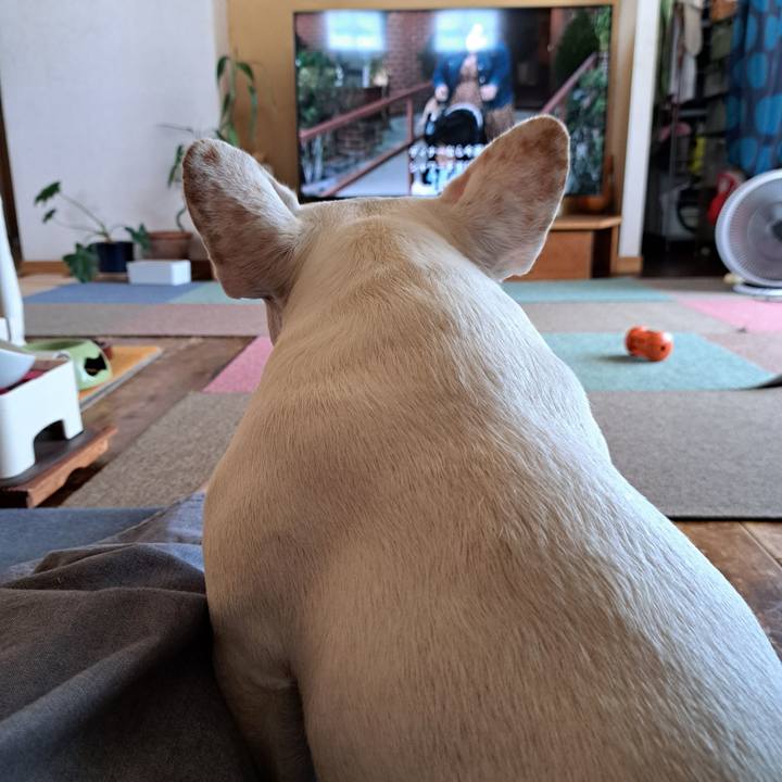 Ca58cc94 03a2 4476 a100 d12a5895b10f 1693633393924