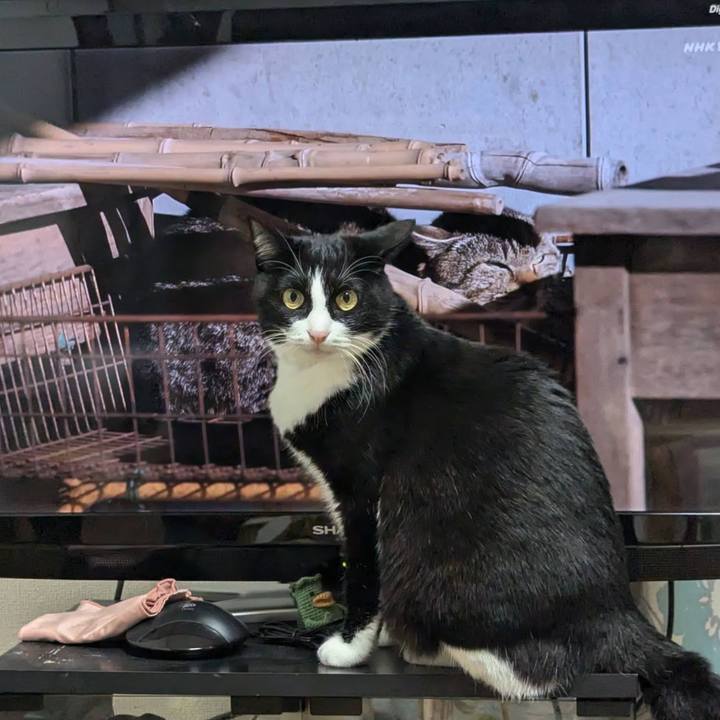 Ca58f3f5 c244 4bf0 86a0 43bf146aa46f 1733390938231