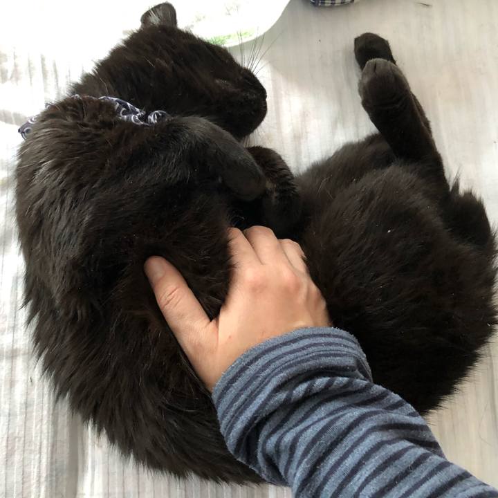 Ca5913b1 aa54 4065 b80f 9fe9aa8d2a6e 1581979281481