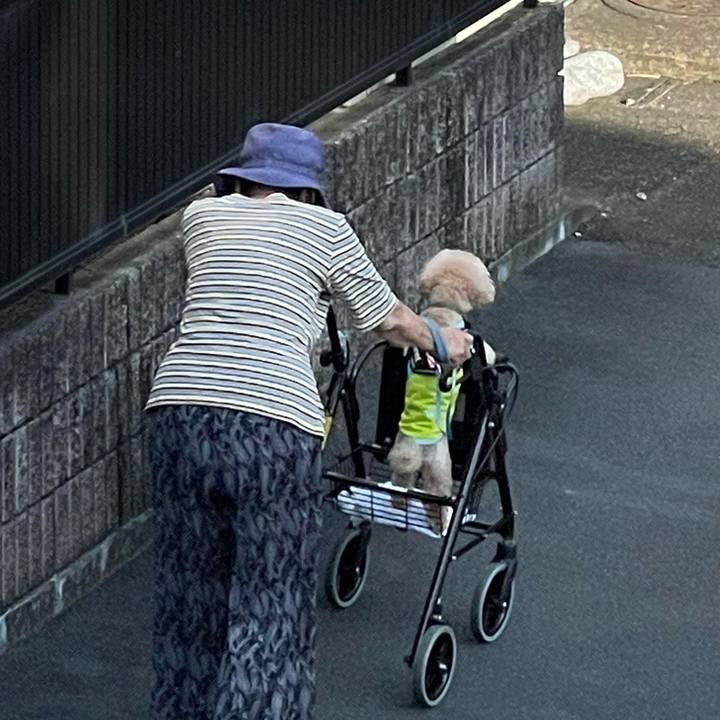 Ca5929dd 417c 4b00 8dd8 ff22879bc100 1661724139656