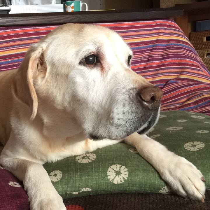 Ca5932e0 2f71 4d97 ae73 be383b56184a 1520384707580