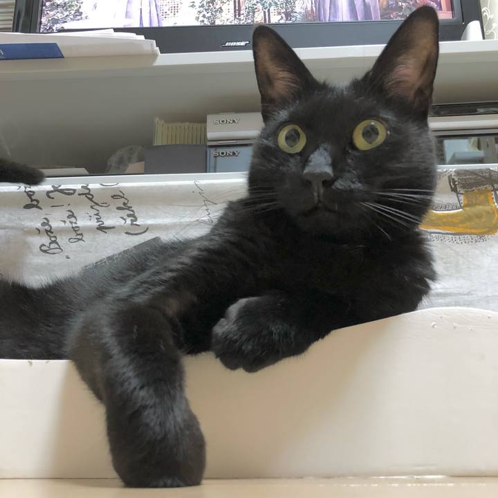 Ca595c9d 248c 4d61 91a5 527d0f3603bd 1631185516199