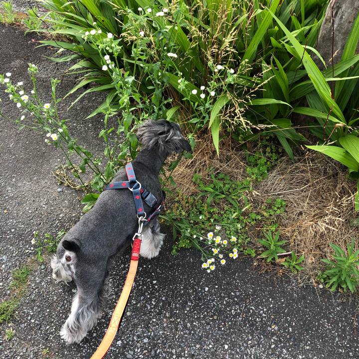 Ca59ad56 0bf7 47aa 8157 d86b18a61ad5 1655602967594