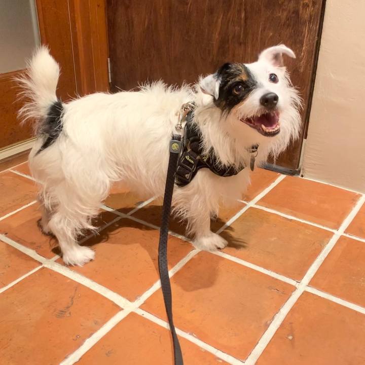 Ca5a0aa6 ae49 4b1f a89d 89fc96243776 1598348743329