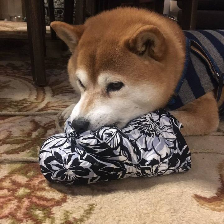 Ca5a1103 f7a0 4409 b7a9 99186b7b7488 1550144259301