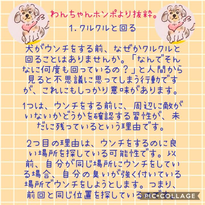 Ca5a1bcd ddbf 4938 b07e e45787fe3a3a 1595683465249