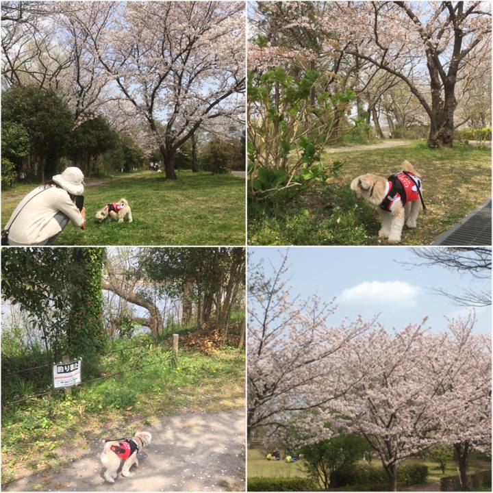 Ca5a434c 3dec 4bc4 898f ba6e360d068f 1554624882675