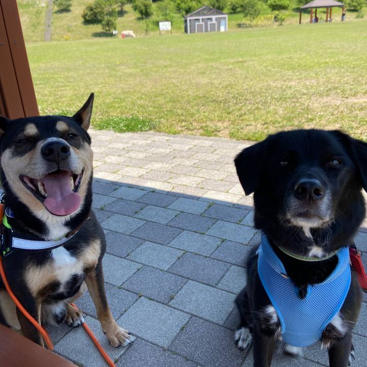 Ca5a58ca e2c9 4c5a a63b a3903498dd67 1653225844198