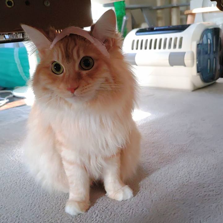 Ca5a7191 e001 4036 9c7a 106af1cec777 1682633049684