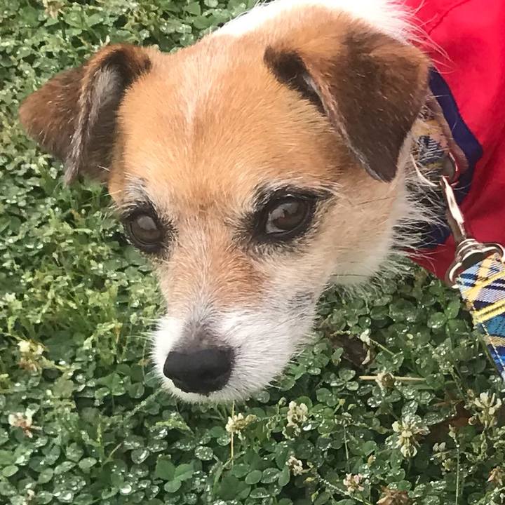 Ca5a75b3 4993 4459 a123 05c065e2d876 1559091614259