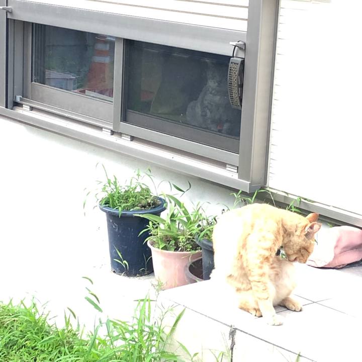 Ca5a7978 138e 4e50 a2b4 5cd5ebb2f9bf 1564850026562