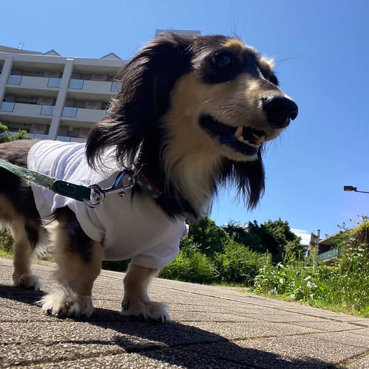 Ca5a9367 e205 4878 bb5d 78a7115ca6ff 1750658874314