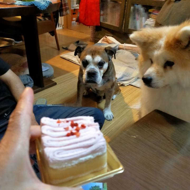 Ca5aab59 e368 40a2 a902 9d81704de8ad 1688475198946