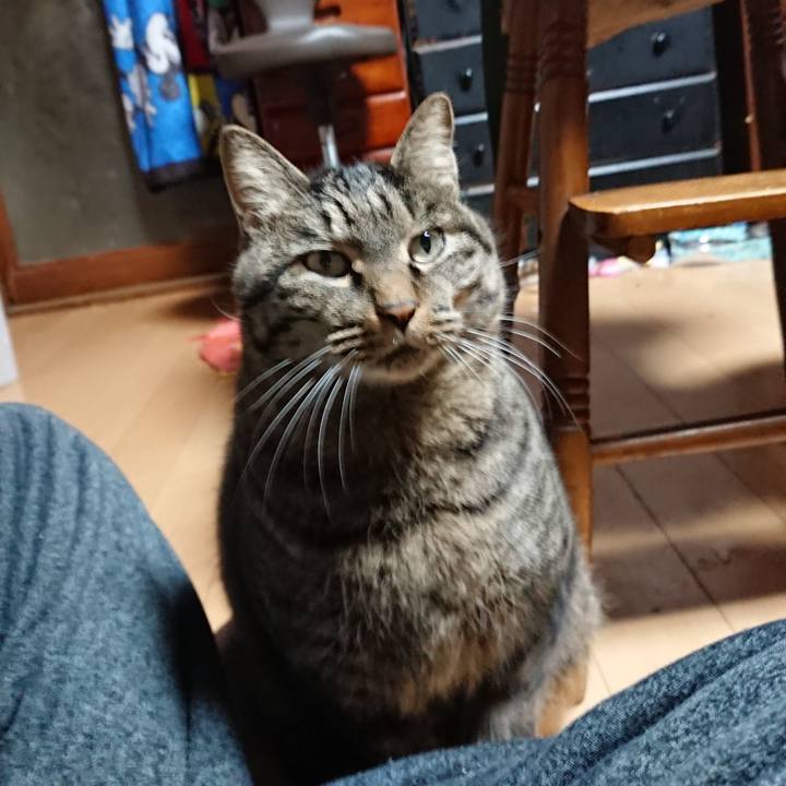 Ca5ad186 1d5c 4a5d ac67 4d2ea2b929de 1640032472620