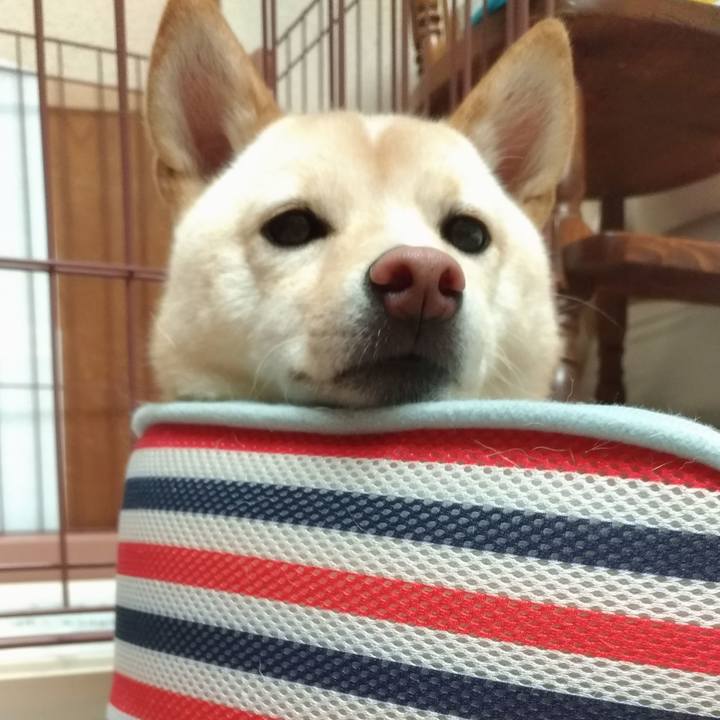 Ca5ae595 017c 49bc aa15 c76312820e79 1537960424393