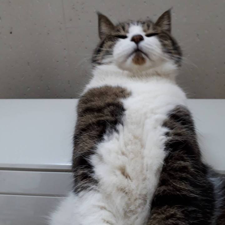 Ca5afaa2 3bb2 4c98 aadf 03bd01ce70de 1576239702184