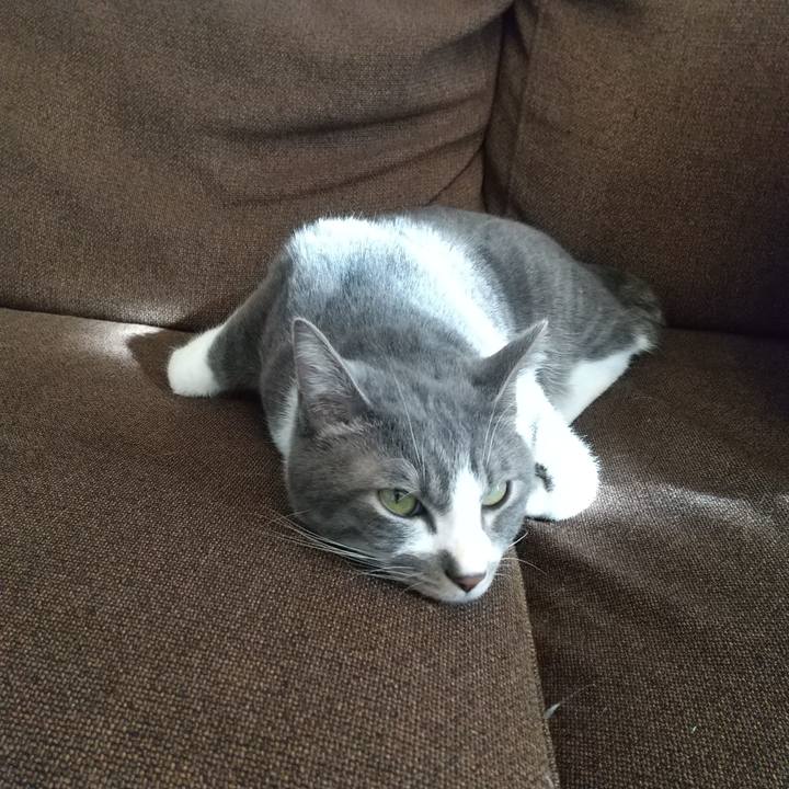 Ca5b02e9 948c 4ac1 ac79 9c725c114077 1612949131656