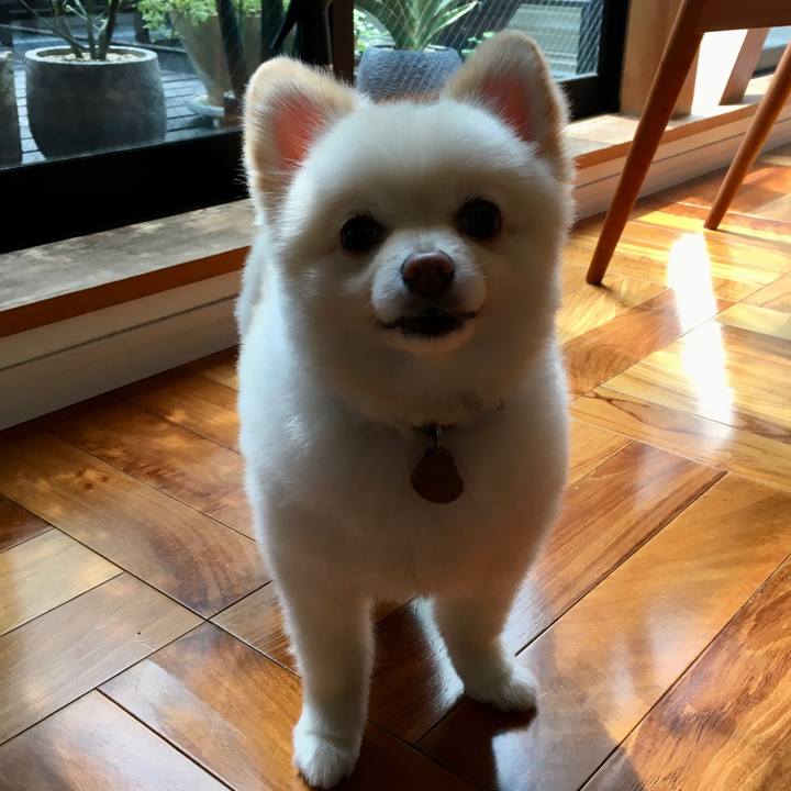 Ca5b58a0 c403 4168 9c9f e12210584db0 1598671094878