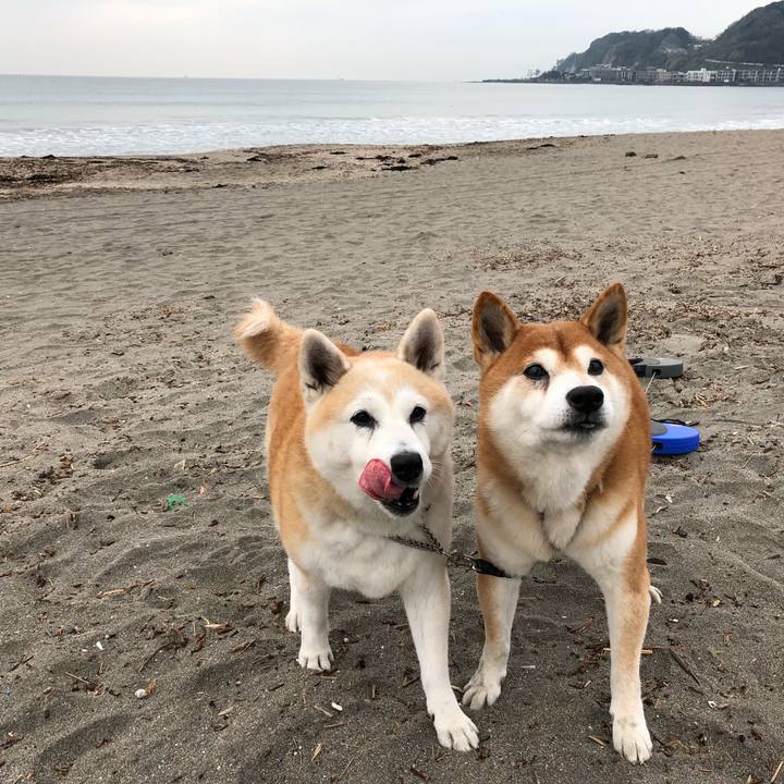 Ca5b853a 8f01 4d8d b991 c6e1bbfad5ee 1542018676554