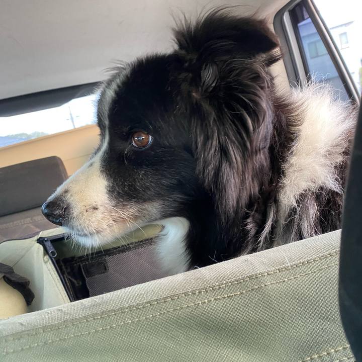 Ca5b9228 00e8 4c28 8c8e 58b46dcaa51c 1696543498114