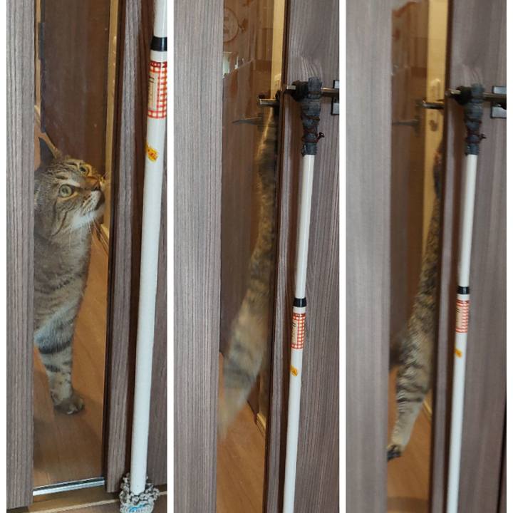 Ca5b941b 00c9 4a00 8aad c1c073aa086c 1667084046692