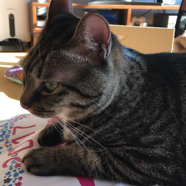 Ca5baf86 641a 413b 8b5d 436a9b21323b 1547877366008