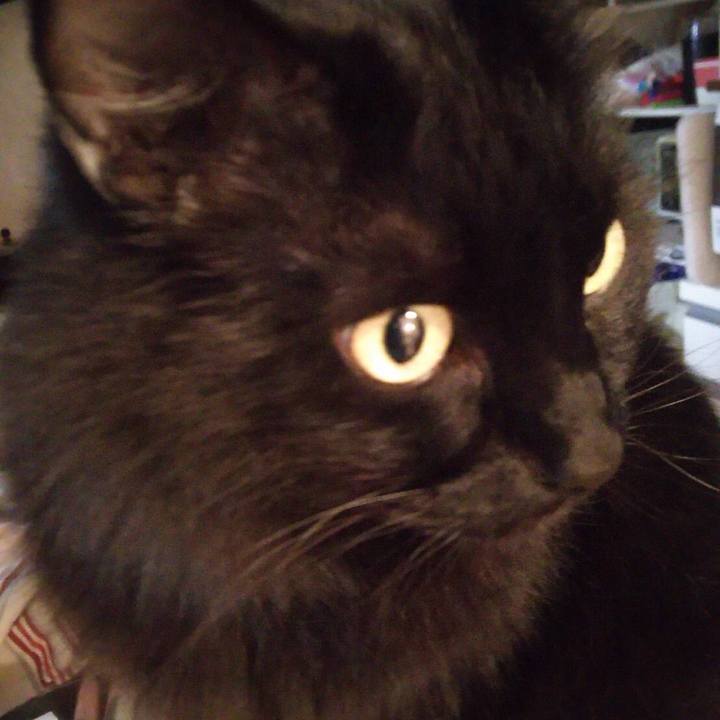 Ca5bb904 8885 4bca 80c1 c2c67acf773a 1512447129068