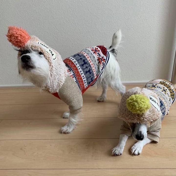 Ca5bc53f 5c90 4881 b58e fb91cbc8457a 1671449966242