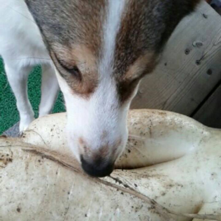 Ca5bccad 763b 46ef 9439 b48cd9fb9479 1513044825056